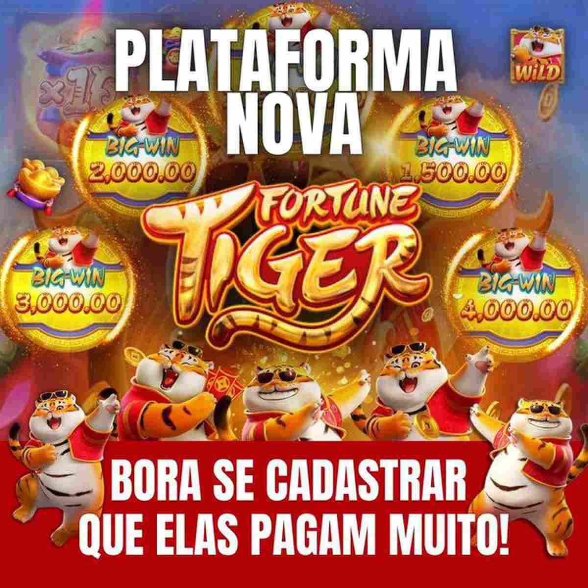 loteria fort ao vivo