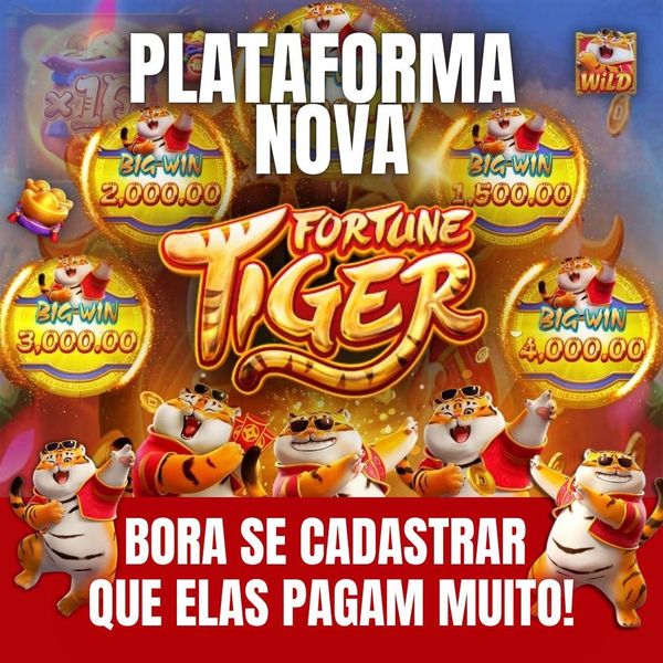 plataforma winbr