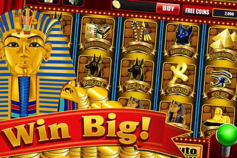 beste betcity casino spellen